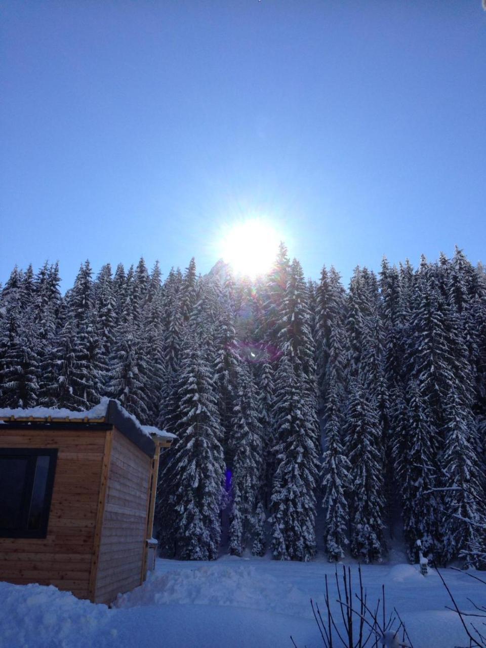 Eirl Dolomites Retreat Sappada Bed & Breakfast Luaran gambar