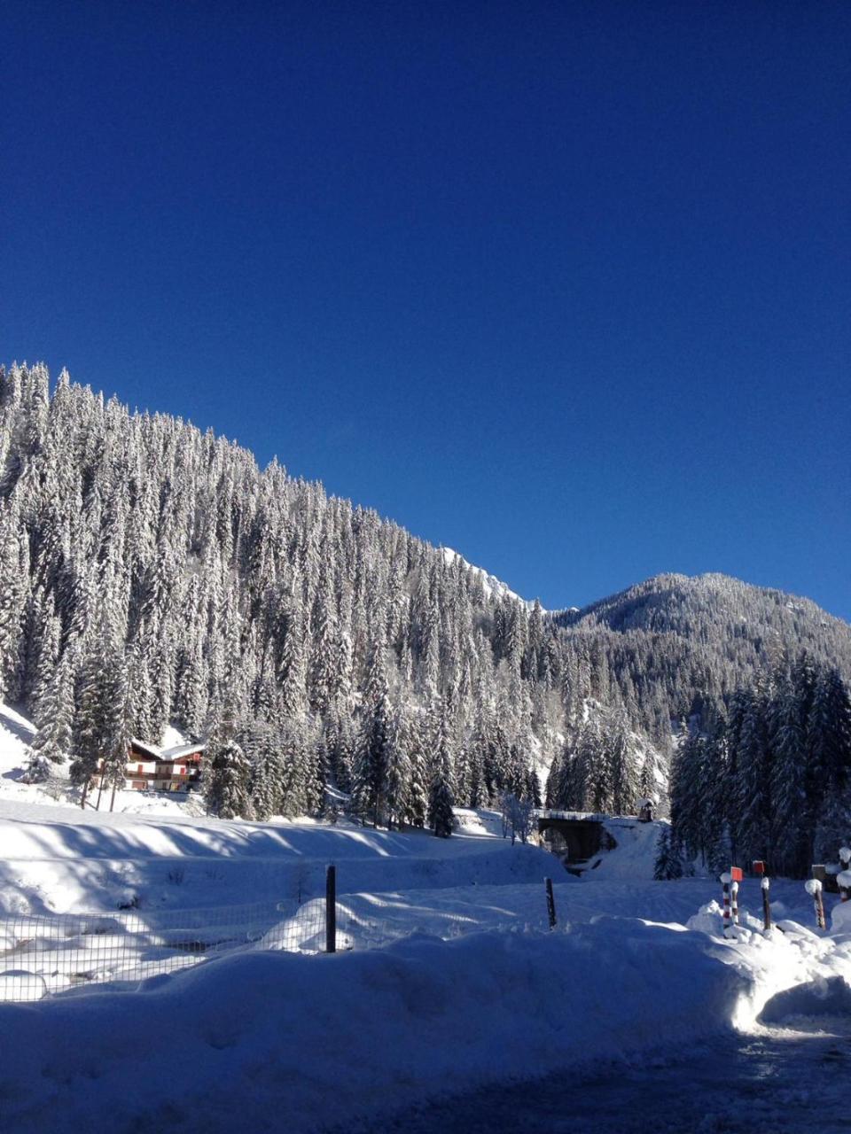 Eirl Dolomites Retreat Sappada Bed & Breakfast Luaran gambar